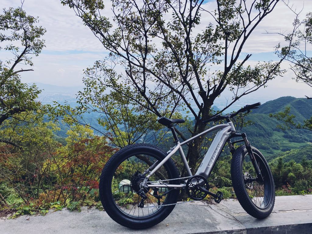 MY EXPERIENCE WITH ELECTRIC BIKES