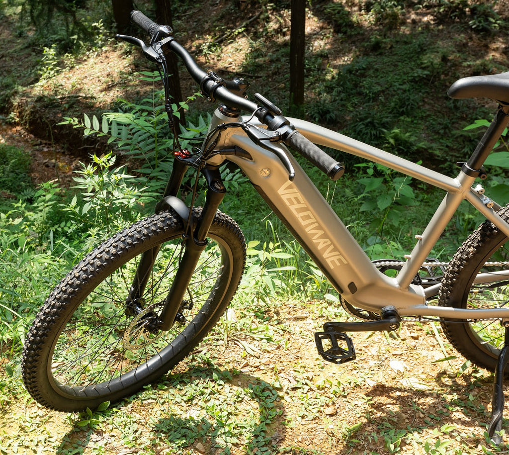 Reviews for VELOWAVE MTB3 Eelctiric Mountain Bike