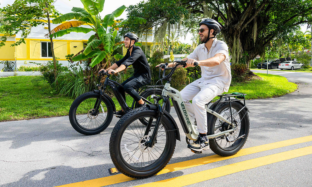 Velowave Electric Bikes