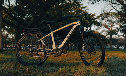 Velowave Electric Bike