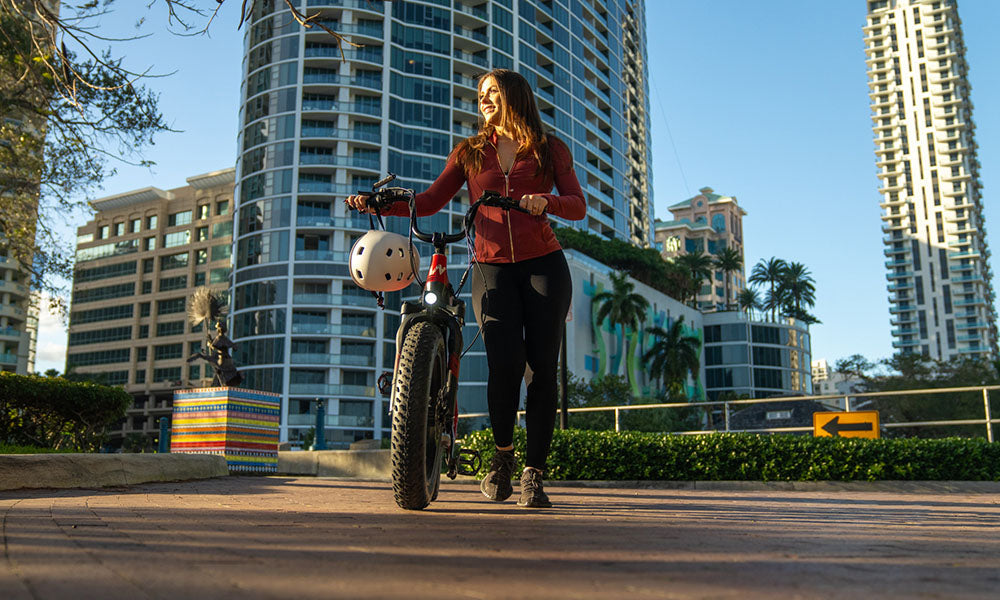 Velowave Electric Bike