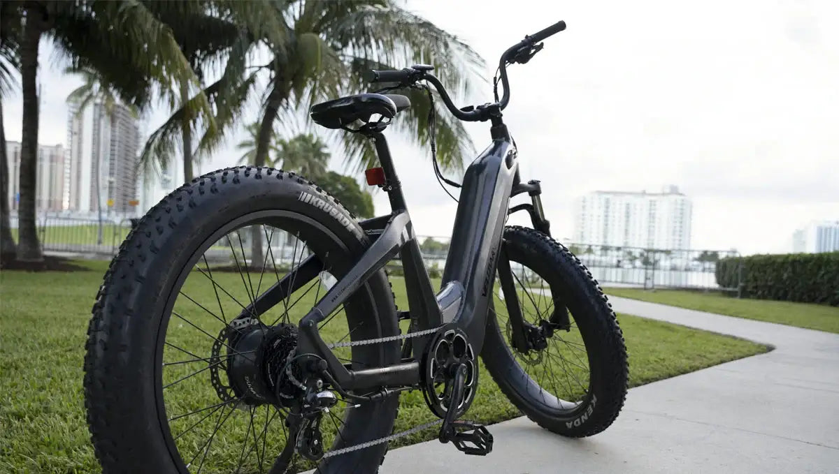 Everything You Must Know About a Step-Through ebike