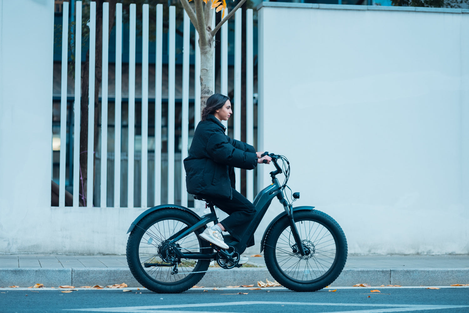 Best Electric Bike for Long Distance Riding in 2025: Why VELOWAVE Leads the Pack
