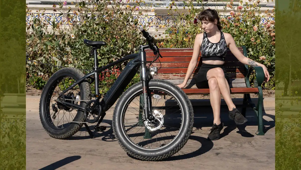 Street Legal Electric Bike: All You Need to Know About e-Bike Regulations - velowavebike