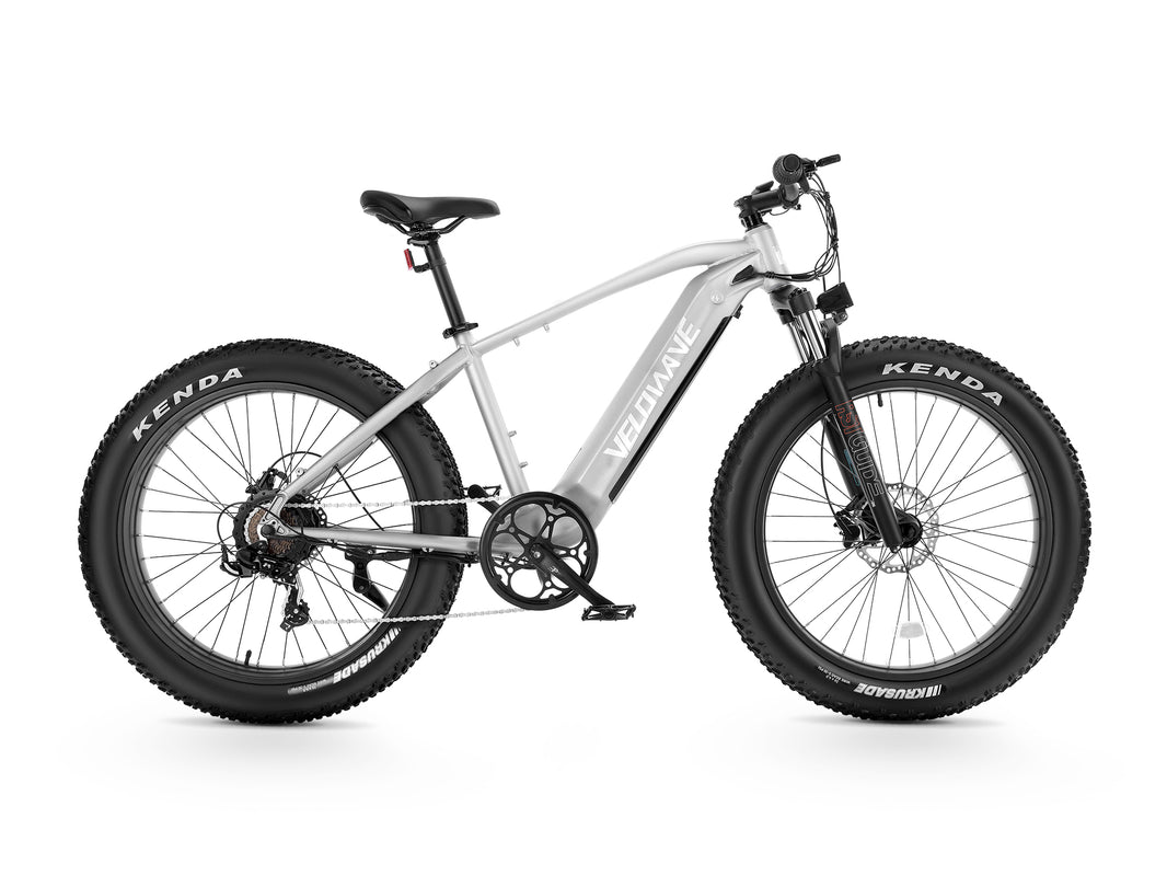 Ranger Fat Tire Electric Bike