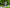 VELOWAVE Electric_Bicycles Ranger Step-Thru 2.0 Electric Bike