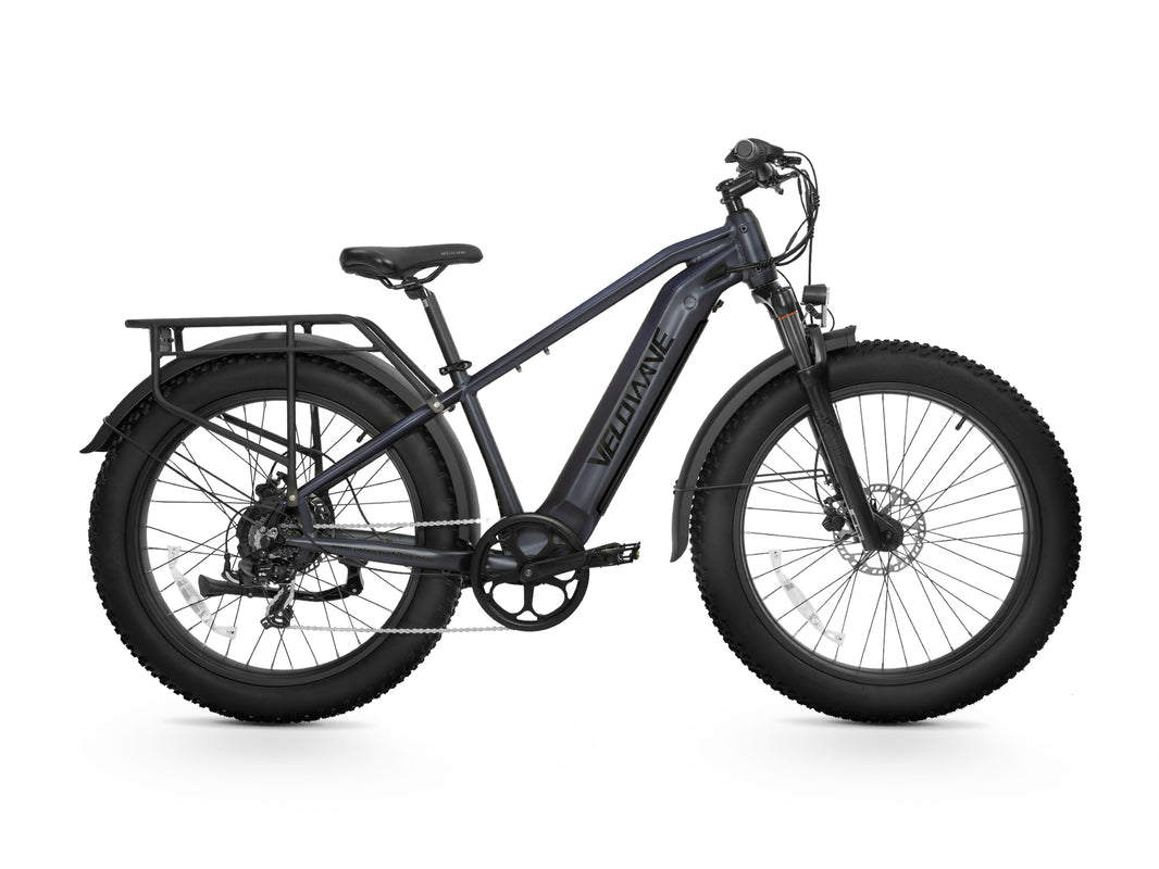 Ranger 2.0 Fat Tire All-Terrain Electric Bike