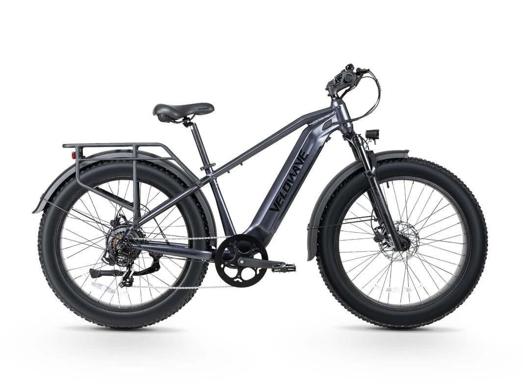 Ranger 3.0 Fat Tire All-Terrain Electric Bike