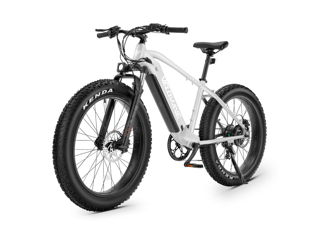 Ranger Fat Tire Electric Bike