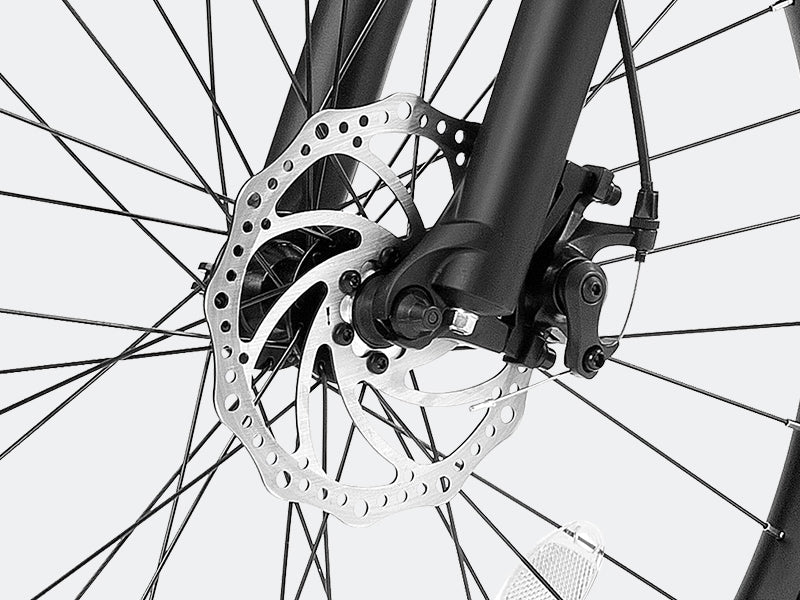 Dual Disc Brake