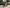 VELOWAVE Electric_Bicycles Ranger Step-Thru 2.0 Electric Bike