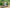 Velowave Ranger Step Thru 2.0 Electric Bike