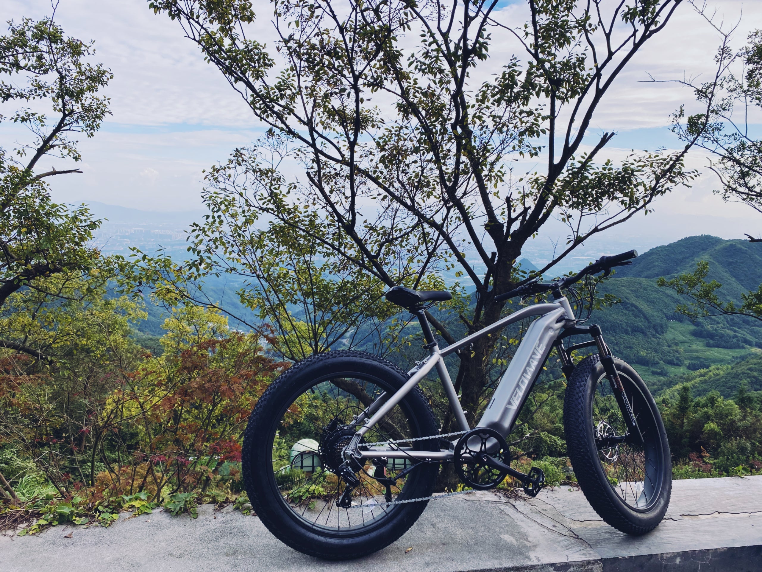 MY EXPERIENCE WITH ELECTRIC BIKES