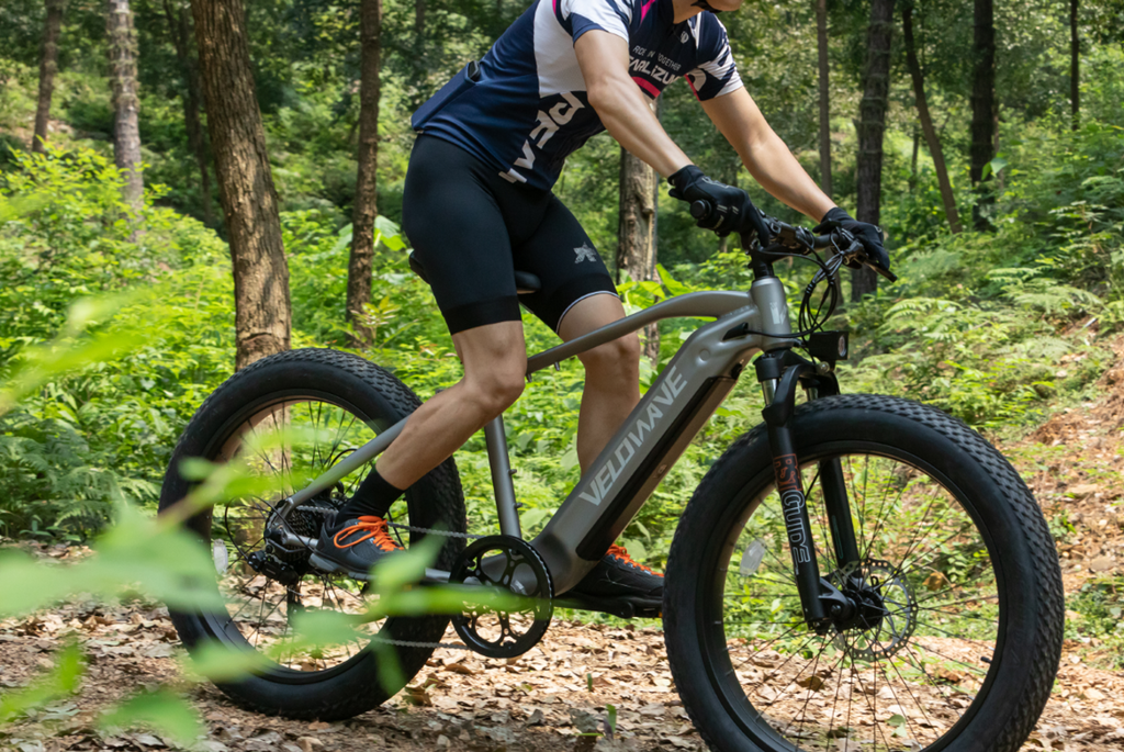 Why Choose an Electric Bike?