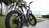 Everything You Must Know About a Step-Through ebike