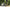 From City Streets to Mountain Trails – Forest SM is the Do-It-All eBike