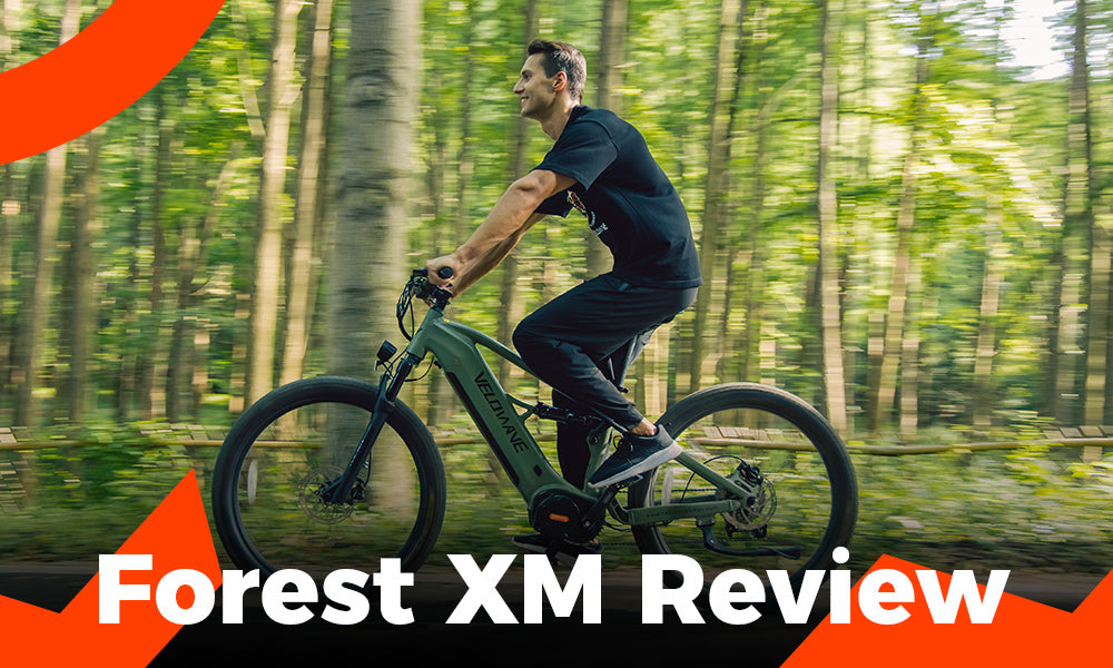 Forrest Rase Forest XM Review: Explore the Call of the Wild – VELOWAVE