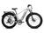 VELOWAVE Electric_Bicycles Ranger 2.0 Fat Tire All-Terrain Electric Bike#color_silver
