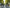 VELOWAVE Electric_Bicycles Breeze T Torque Sensor Electric Bike