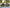 VELOWAVE Electric_Bicycles Ranger 2.0 Fat Tire All-Terrain Electric Bike#color_silver