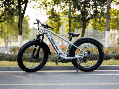 VELOWAVE Electric_Bicycles Ranger 2.0 Fat Tire All-Terrain Electric Bike#color_silver