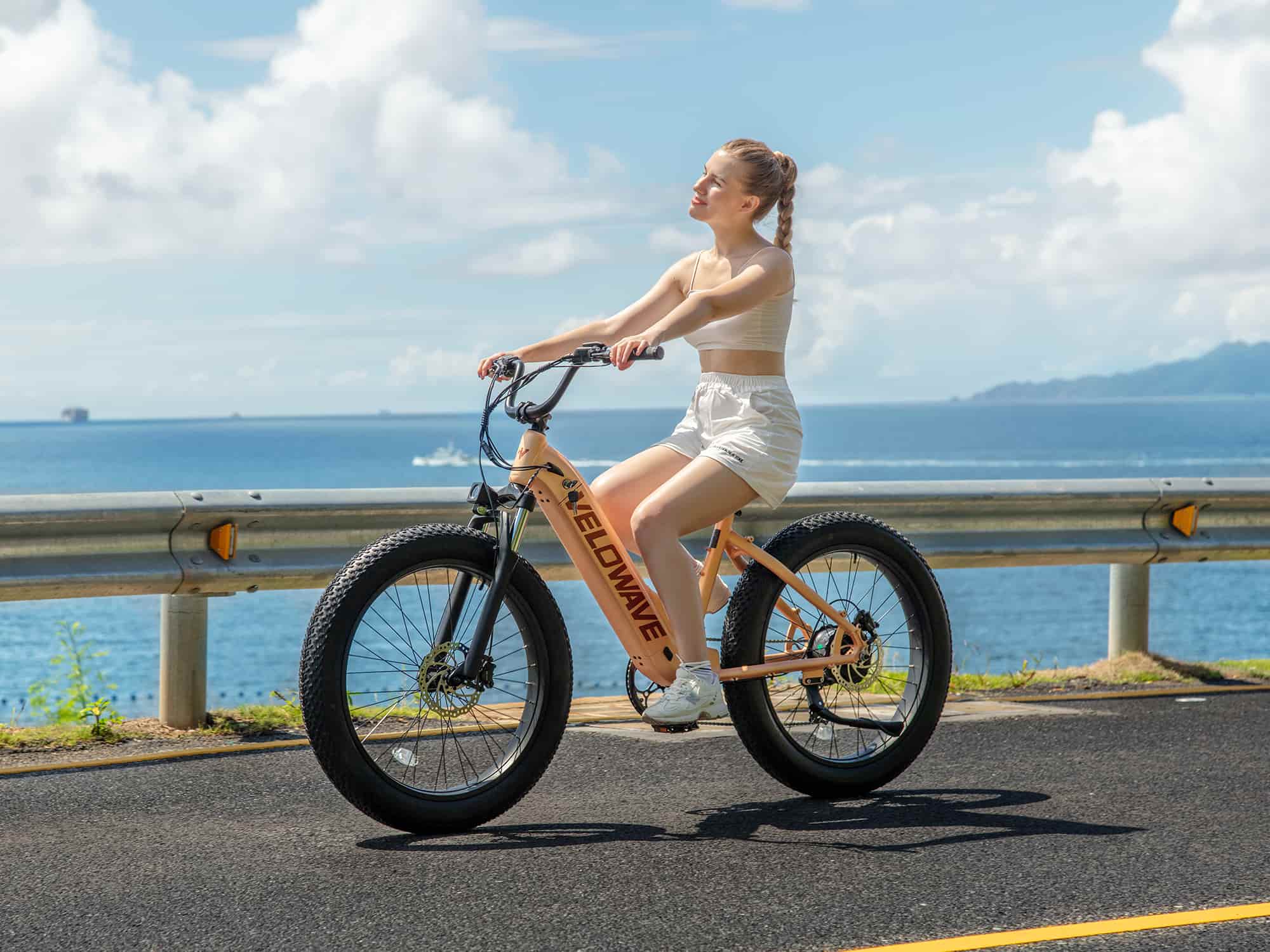 VELOWAVE Electric_Bicycles Rover Step-Thru Electric Bike