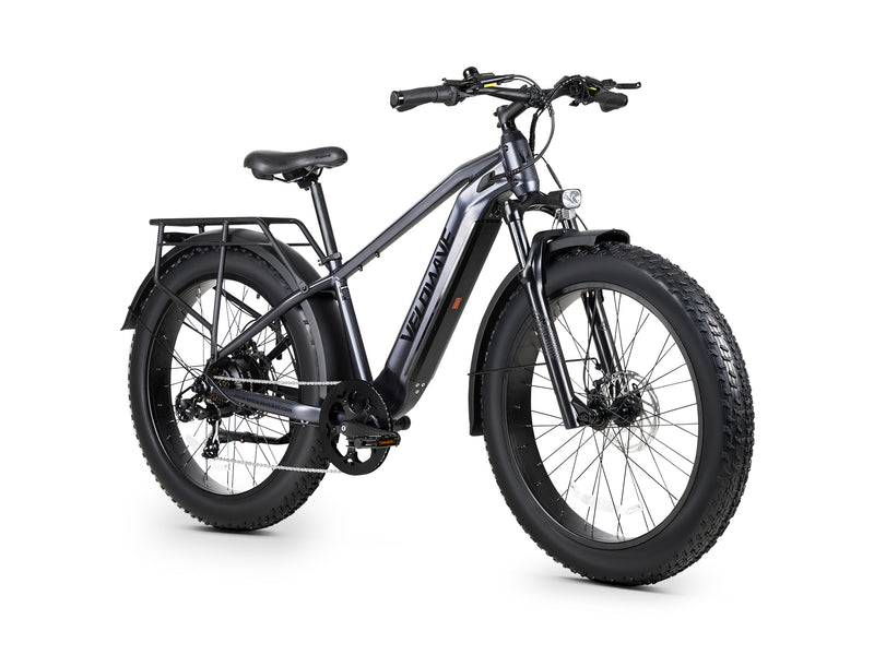 Ranger 3.0 Fat Tire All-Terrain Electric Bike