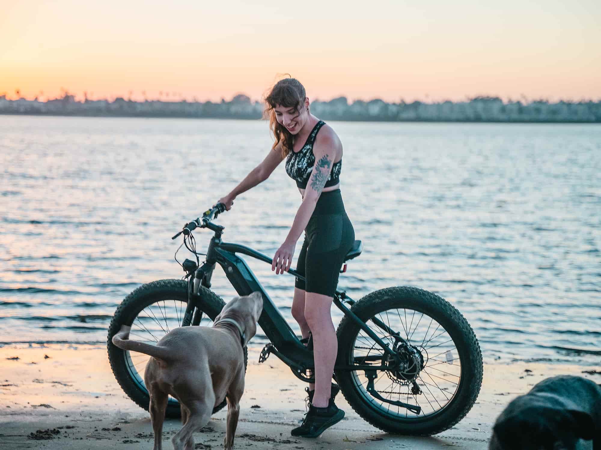 VELOWAVE Electric_Bicycles Ranger Fat Tire Electric Bike#color_star-black