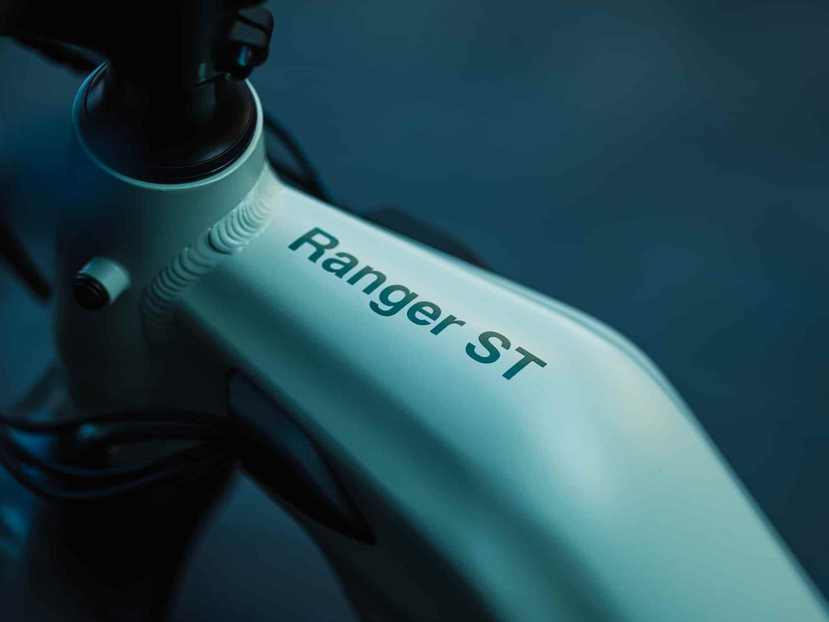 VELOWAVE Electric_Bicycles Silver Ranger Step-Thru 3.0 Electric Bike
