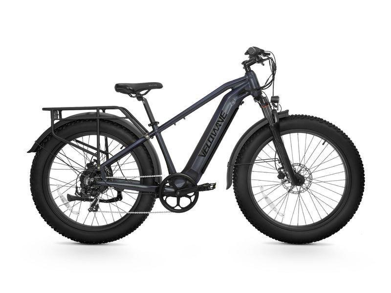 Ranger 2.0 Fat Tire All-Terrain Electric Bike