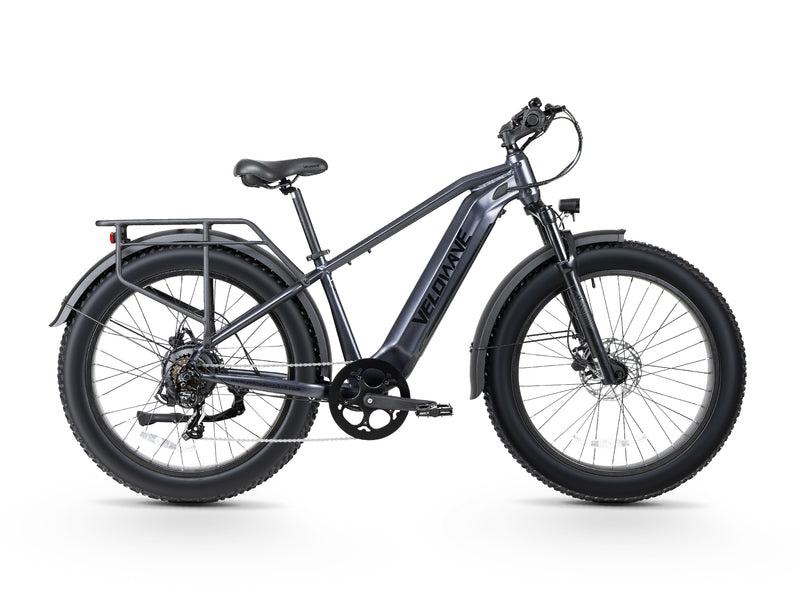 Ranger 3.0 Fat Tire All-Terrain Electric Bike