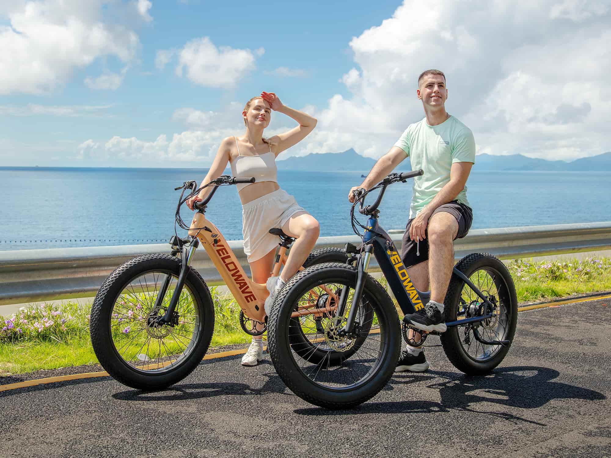 VELOWAVE Electric_Bicycles Rover Step-Thru Electric Bike