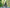 VELOWAVE Breeze T Torque Sensor Electric Bike