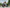 VELOWAVE Electric_Bicycles Ranger 2.0 Fat Tire All-Terrain Electric Bike