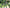 VELOWAVE Forest SM#color_dark-blue