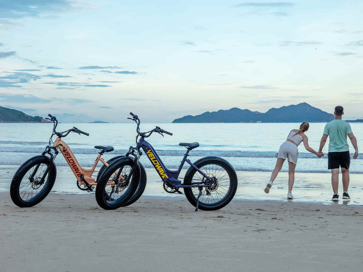 VELOWAVE Electric_Bicycles Rover Step-Thru Electric Bike