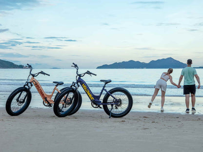 VELOWAVE Electric_Bicycles Rover Step-Thru Electric Bike