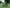 VELOWAVE Electric_Bicycles Ranger Step-Thru 2.0 Electric Bike