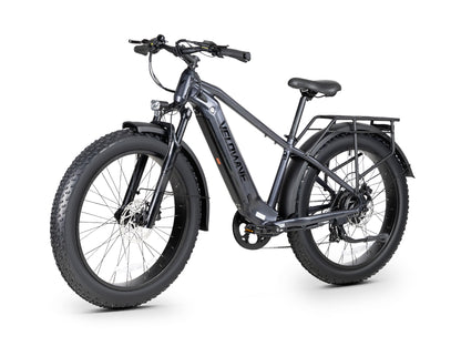 Ranger 3.0 Fat Tire All-Terrain Electric Bike