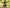 VELOWAVE Electric_Bicycles Ranger Fat Tire Electric Bike#color_silver