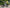 VELOWAVE Electric_Bicycles Ranger 2.0 Fat Tire All-Terrain Electric Bike#color_silver