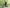VELOWAVE Forest SM#color_dark-blue