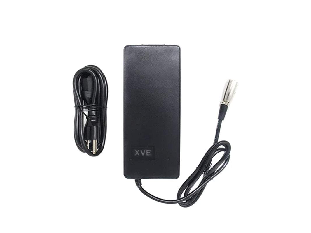 Juiced | Lithium Ion Charger 4A for Electric Bikes
