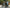 VELOWAVE Electric_Bicycles Ranger Step-Thru 2.0 Electric Bike