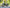 VELOWAVE Electric_Bicycles Grace 2.0 Step-Thru Electric Bike