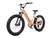 VELOWAVE Electric_Bicycles Rover Step-Thru Electric Bike