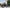 VELOWAVE Electric_Bicycles Ranger 2.0 Fat Tire All-Terrain Electric Bike#color_dark-gray