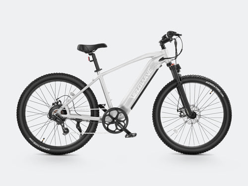 VELOWAVE Electric_Bicycles Ghost Electric Mountain Bike#color_silver