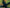 VELOWAVE VW Forest XM#color_dark-green