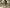 VELOWAVE VW Forest XM#color_dark-green